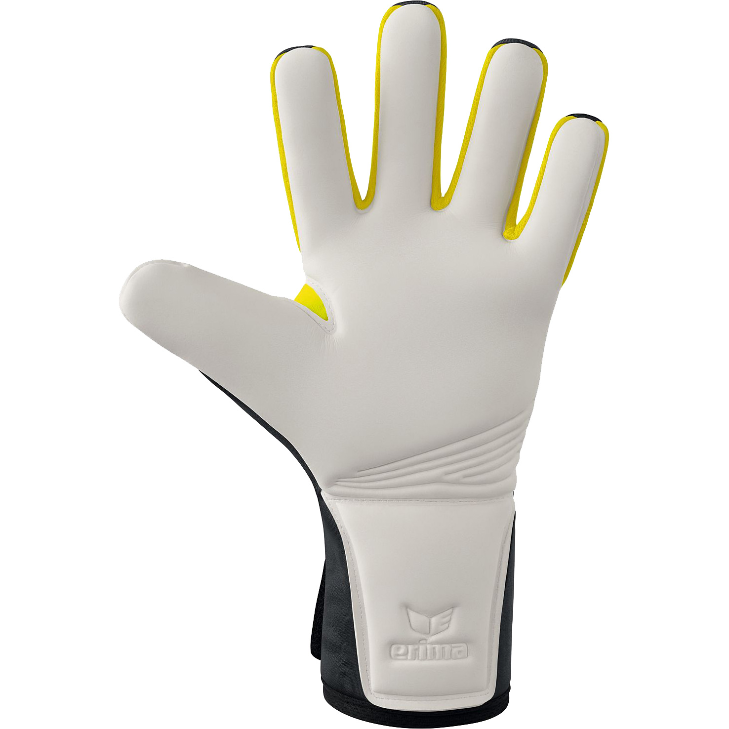 Flex Ray Pro Goalkeeper Gloves grey