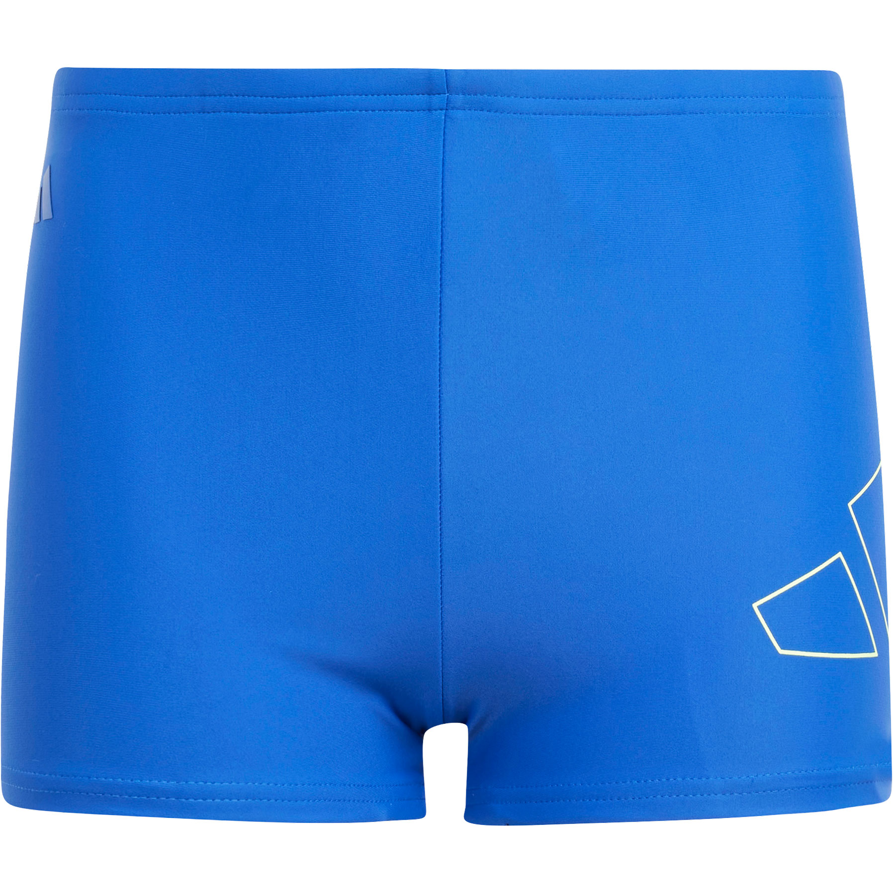 Performance Big Bars Swim Boxers Boys royal blue