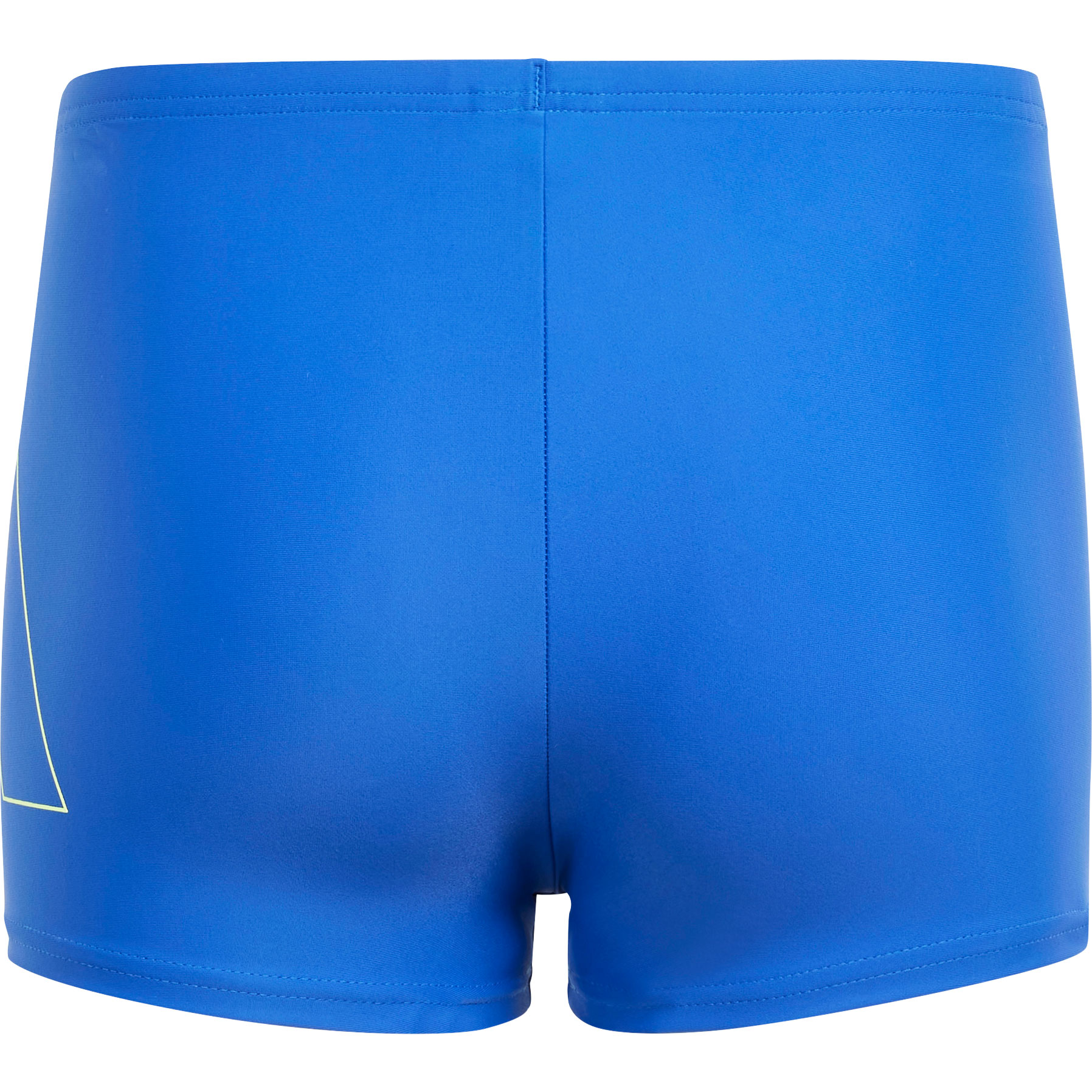 Performance Big Bars Swim Boxers Boys royal blue