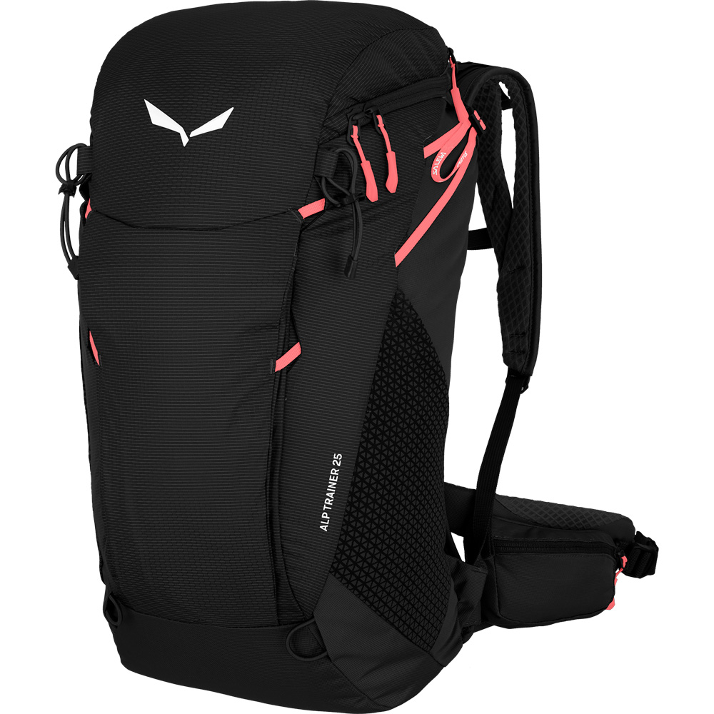 Alp Trainer 25l Backpack black out