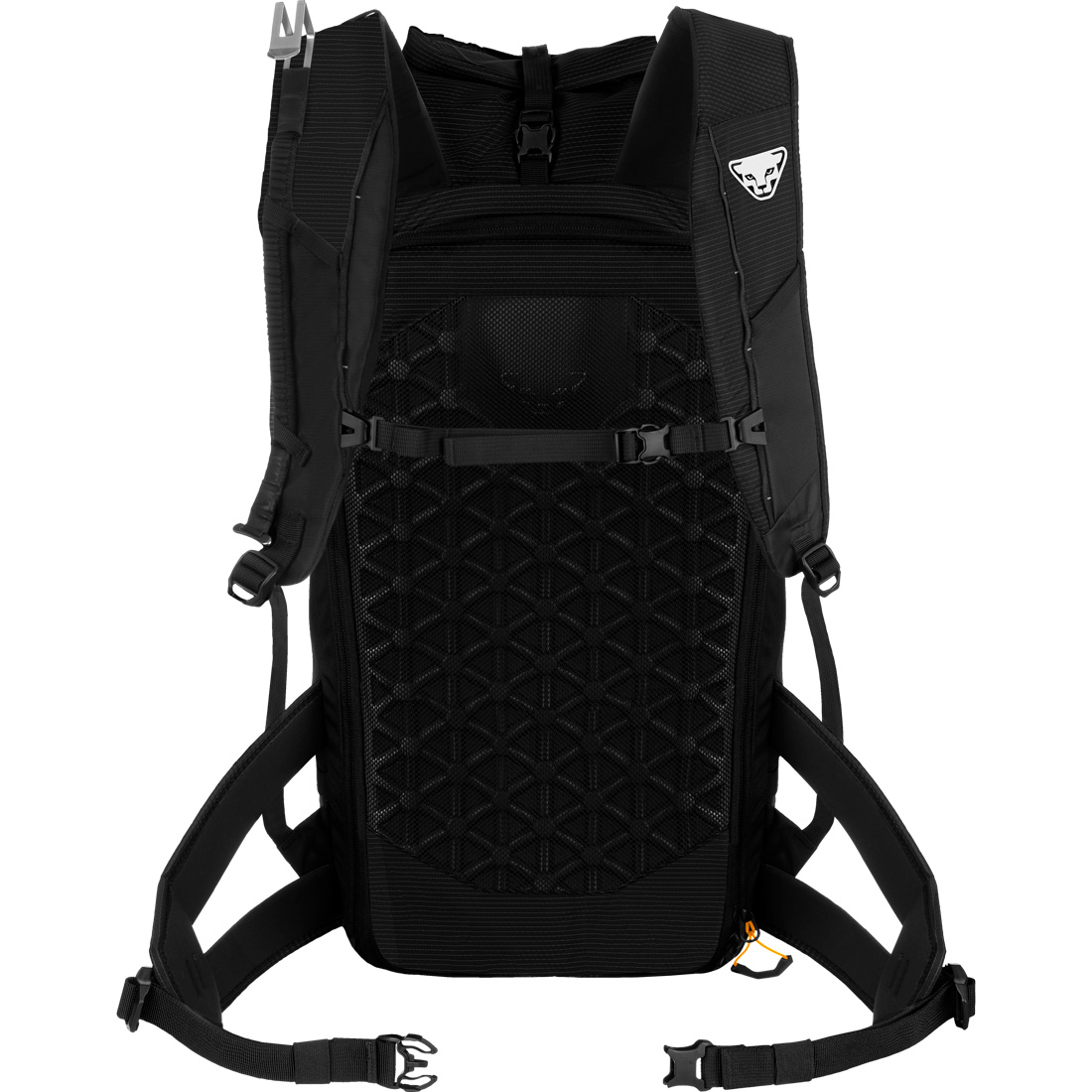 Radical 30+ Skitourenrucksack black out