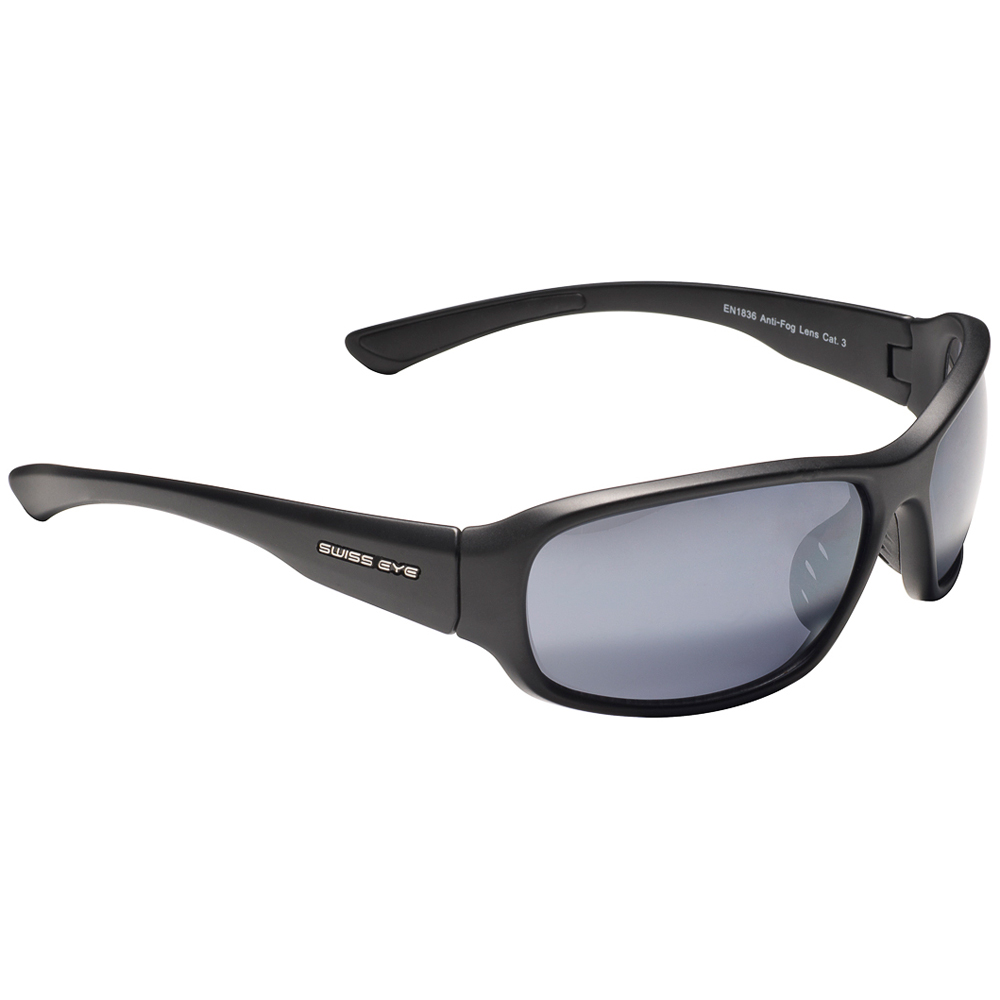 Freeride Sunglasses black matt