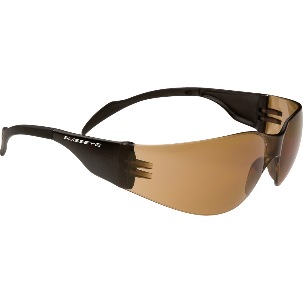 Outbreak Sunglasses black