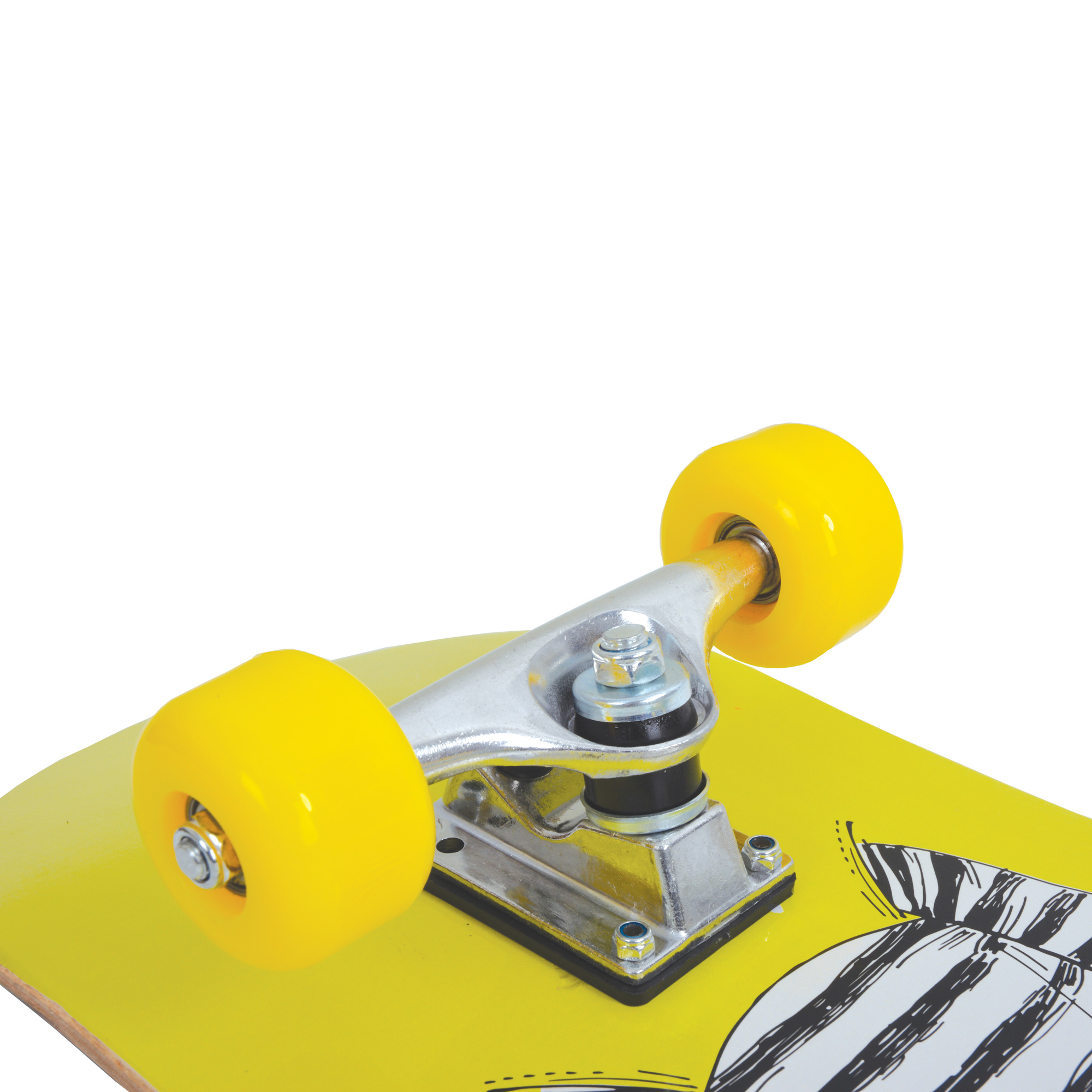 Kicker 31 Skateboard green dog