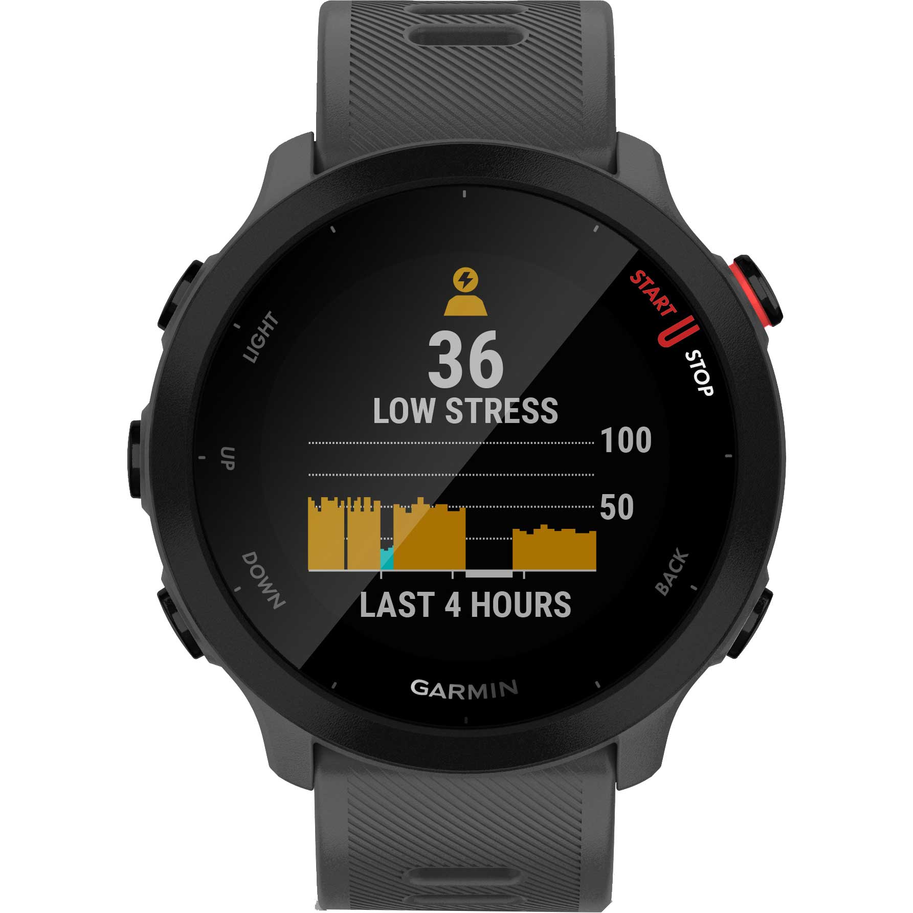 Forerunner® 55 Pulse Watch dark grey