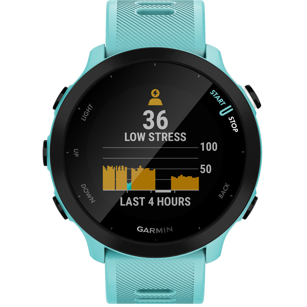 Forerunner® 55 Watch turquoise blue black