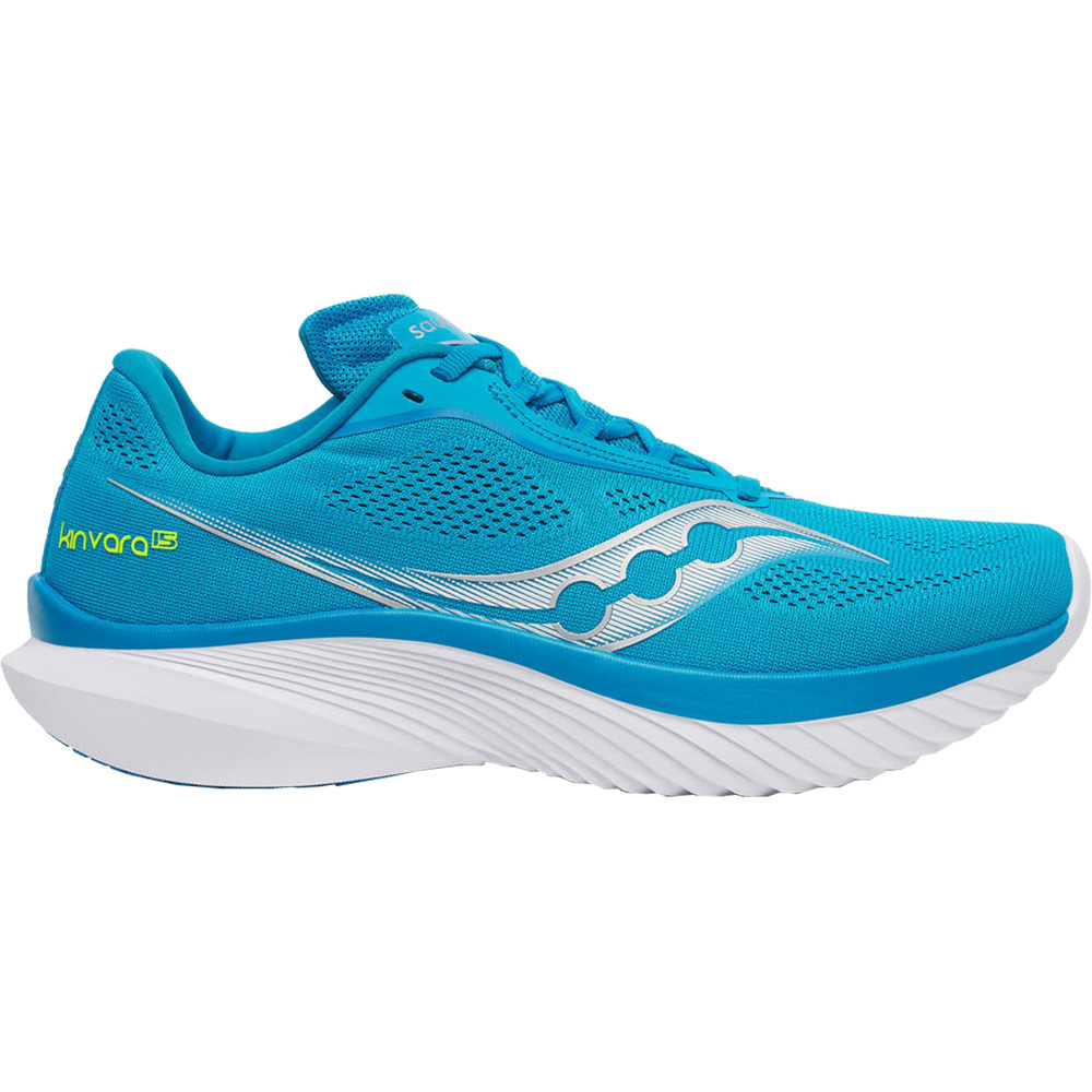 Kinvara 15 Running Shoes Men viziblue