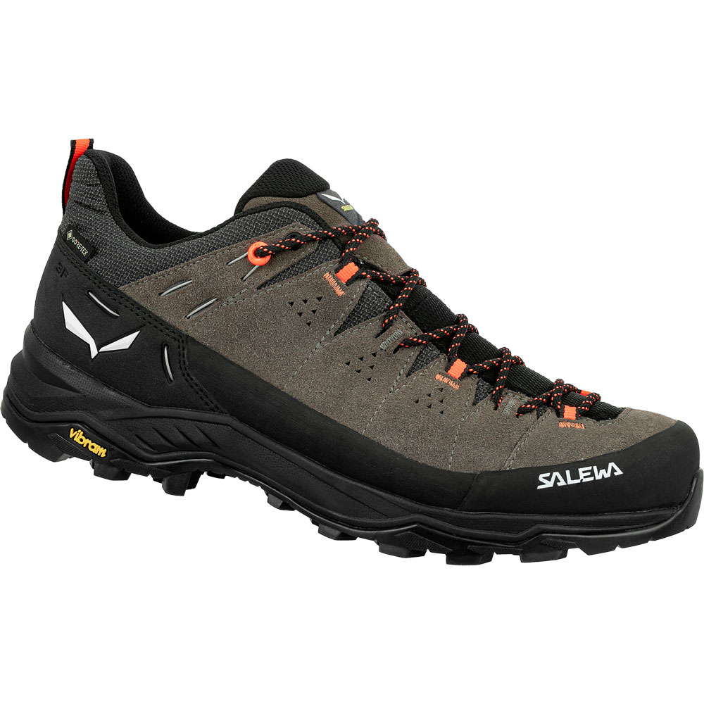 Alp Trainer 2 GORE-TEX® Hiking Shoes Men bungee cord black