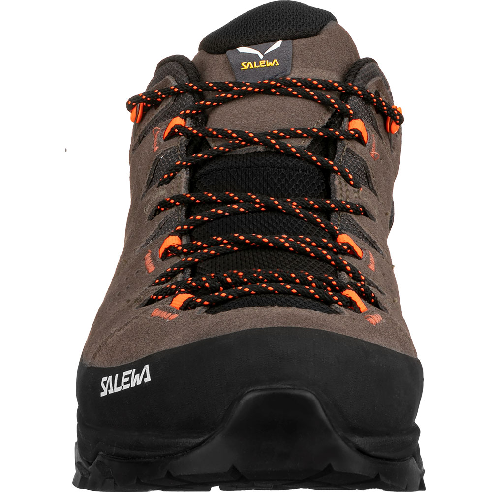 Alp Trainer 2 GORE-TEX® Wanderhalbschuhe Herren bungee cord black