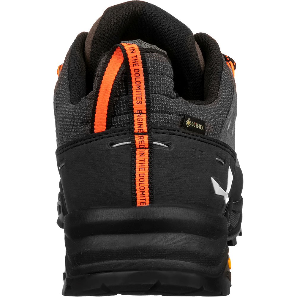 Alp Trainer 2 GORE-TEX® Hiking Shoes Men bungee cord black