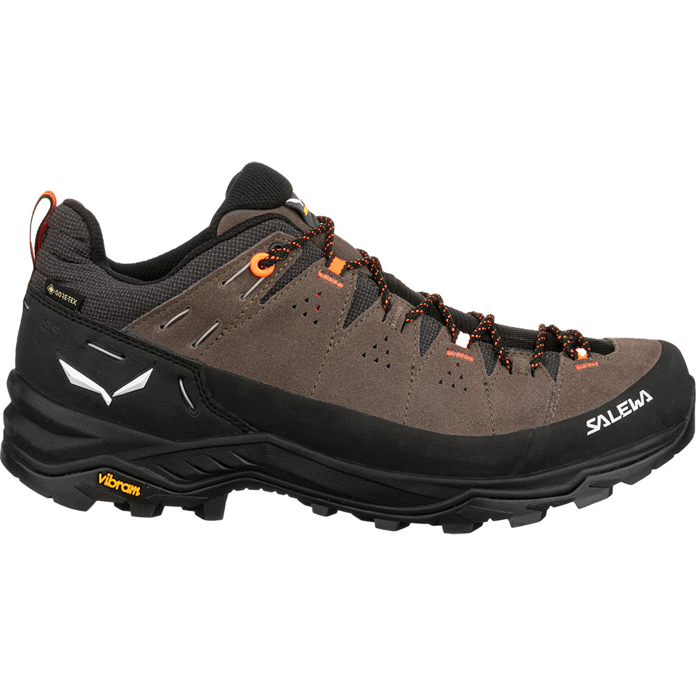 Alp Trainer 2 GORE-TEX® Hiking Shoes Men bungee cord black