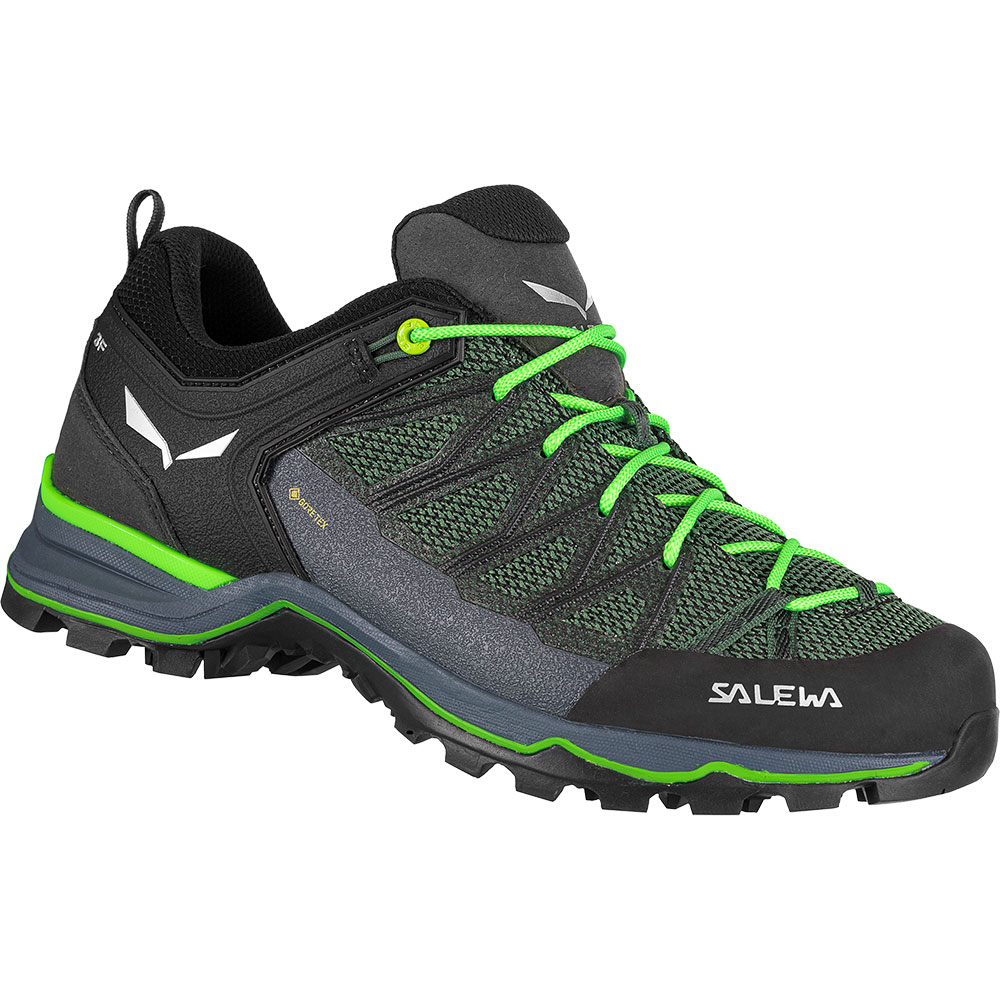 MTN Trainer Lite GORE-TEX® Wanderhalbschuhe Herren myrtle 