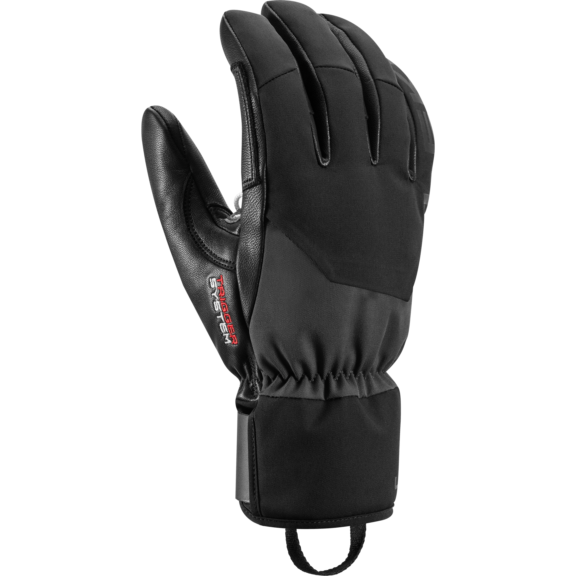 Hevon Thermo 3D Ski Gloves Men black