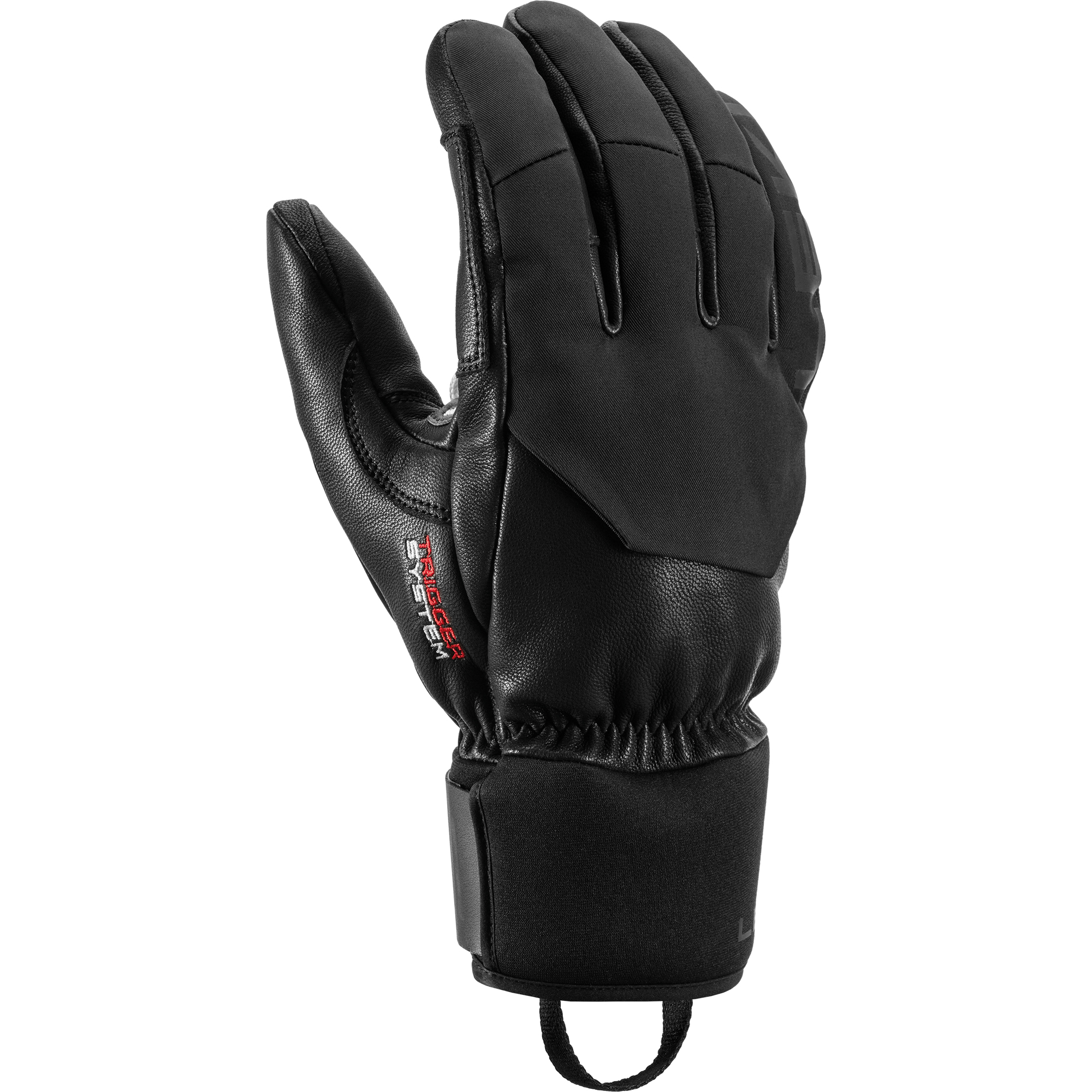 Hevon 3D Ski Gloves Men black